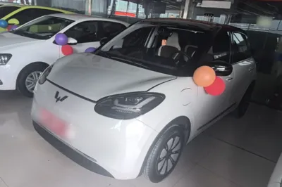 Wuling Bingo