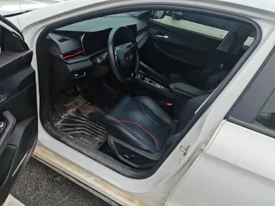 Geely Binrui