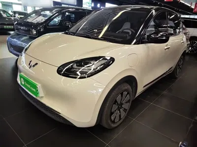 Wuling Bingo