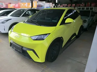 BYD Seagull