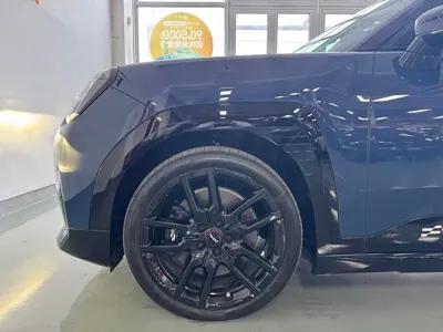 MINI MINI ACEMAN EV