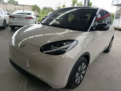 Wuling Bingo