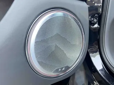 Hongqi 红旗金葵花国耀