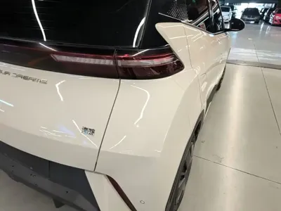 BYD Seagull