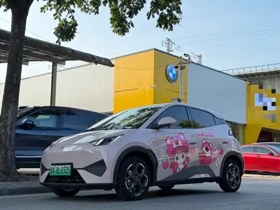 BYD Seagull