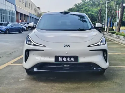 IM IM LS6