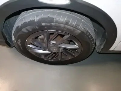 NETA Neta V