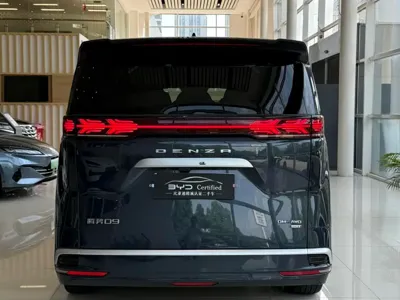 Denza Denza D9