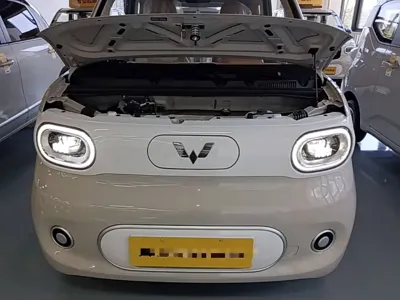 Wuling MINIEV