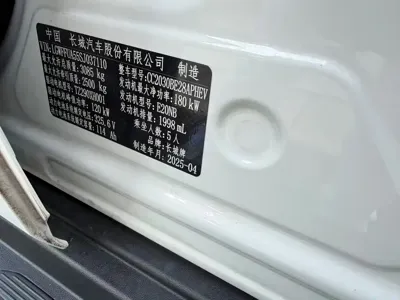 Tank Tank 300 New Energy