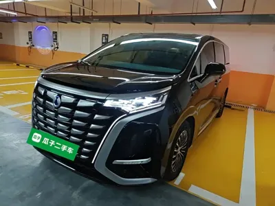 Denza Denza D9