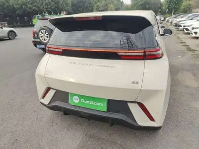 BYD Seagull