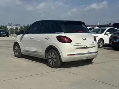 Wuling Bingo