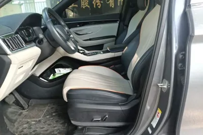 BYD Song PLUS New Energy