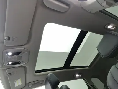 Maxus D60
