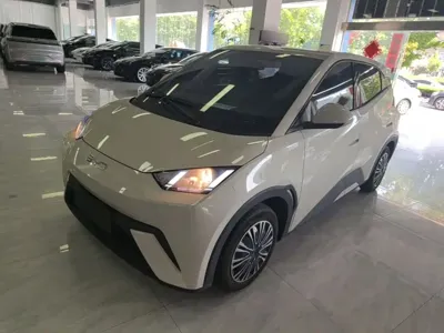 BYD Seagull