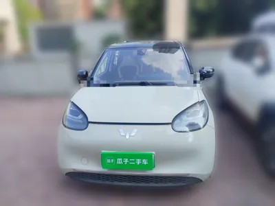 Wuling Bingo