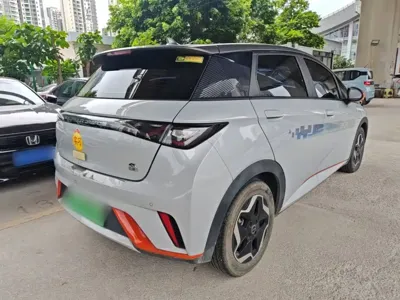 BYD Dolphin