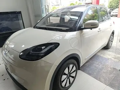 Wuling Bingo