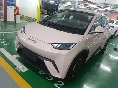 BYD Seagull