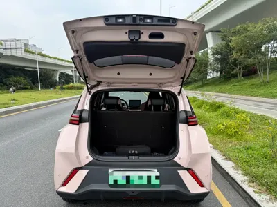 BYD Seagull