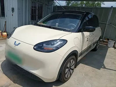 Wuling Bingo