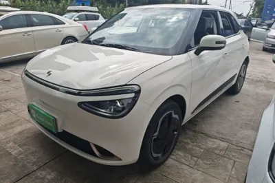 Dongfeng NAMMI 01