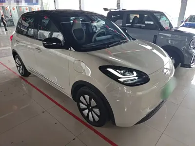 Wuling Bingo