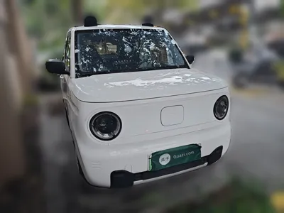 Geely Galaxy Panda