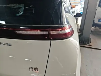 BYD Seagull