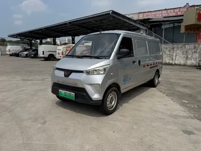 Wuling Wuling EV50