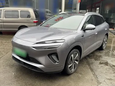 BYD 海狮06
