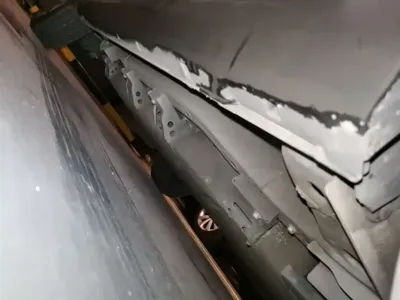 NETA Neta V