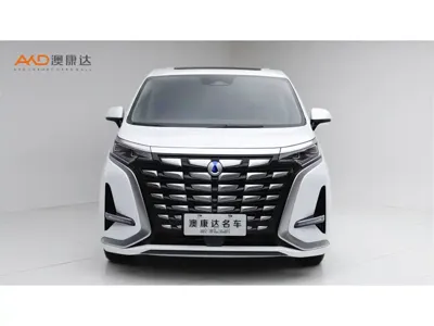 Denza Denza D9