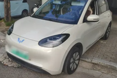 Wuling Bingo