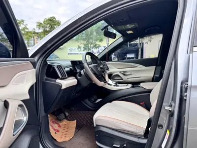 BYD Pro New Energy