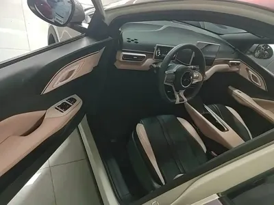 BYD Seagull