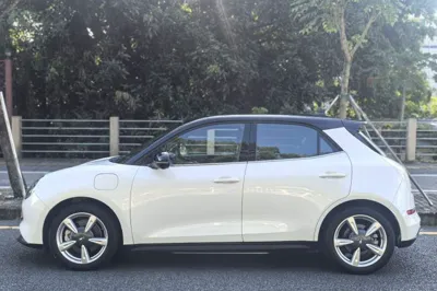 ORA Good Cat