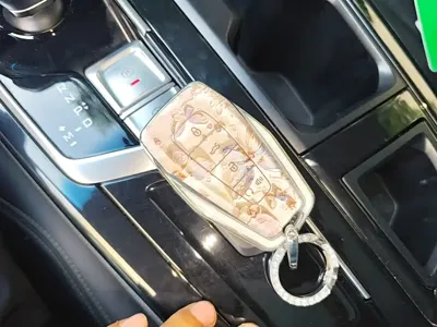 Geely Borui