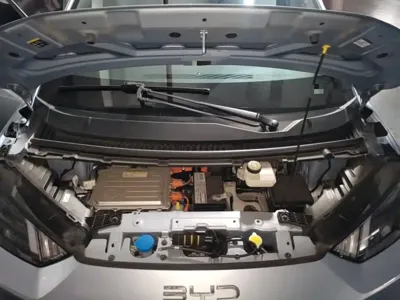 BYD Seagull