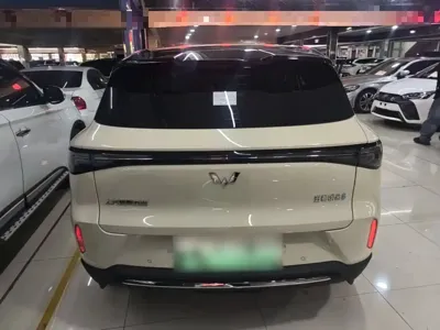 Wuling 缤果S