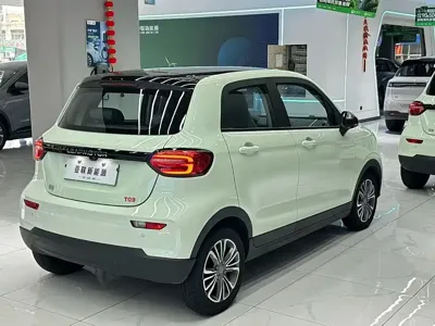 Leapmotor Leapmotor T03