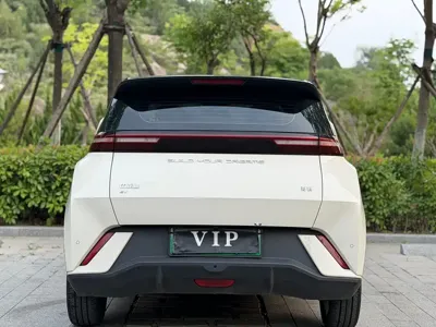 BYD Seagull