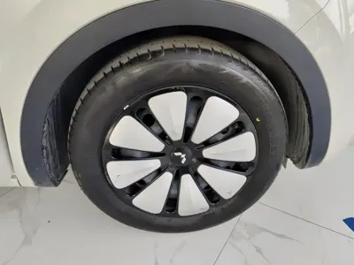 Wuling Bingo