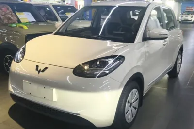 Wuling Bingo