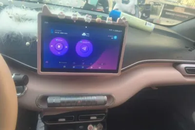 BYD Seagull