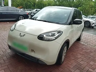 Wuling Bingo