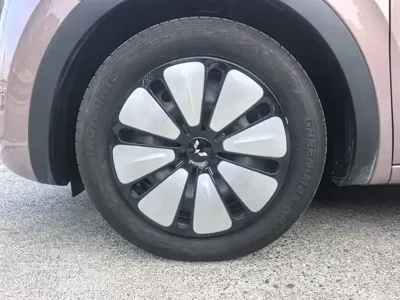 Wuling Bingo