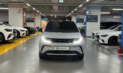 BYD Dolphin