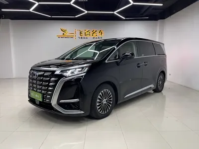 Denza Denza D9